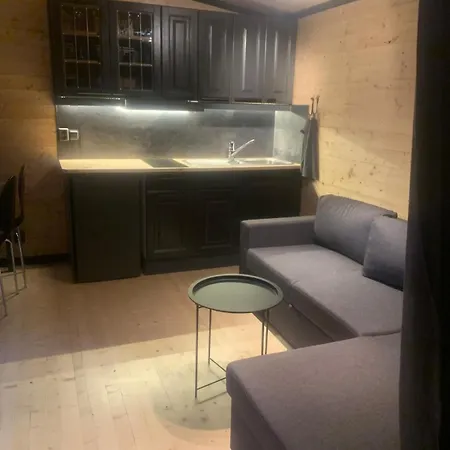 Vakantiehuis With Sauna And Kayaks *