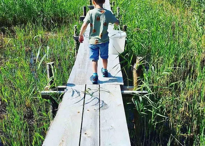 בית נופש With Sauna And Kayaks